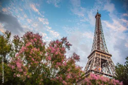 Cherry blossoms with The Eiffel tower © liptoncnx
