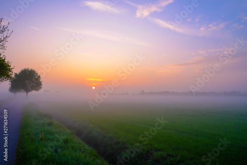 Grass field with foggy weather at sunset