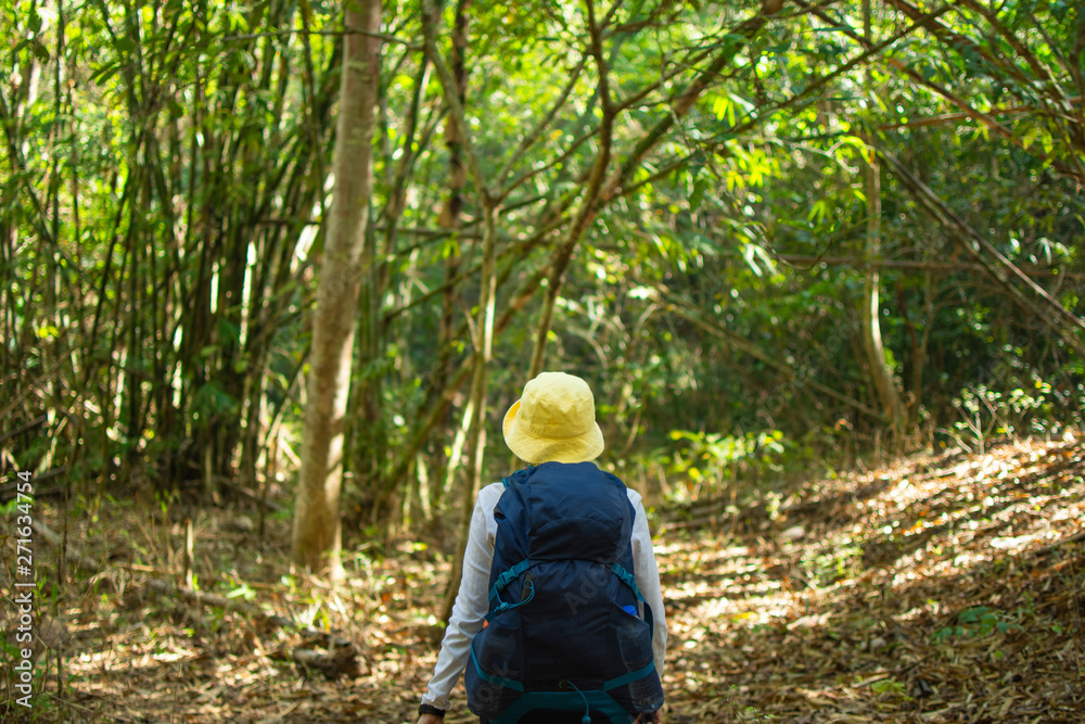 hiking group in forest, travel in mountain for camping at sunny day with color effect. subject is blurred. hiking group in forest, travel in mountain for camping at sunny day with color effect. subject is blurred.