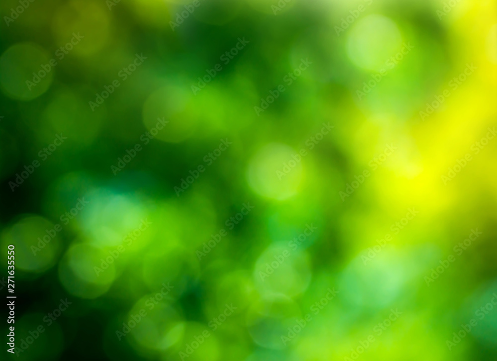 Summer abstract bokeh background in green-yellow colors. Blurred background of green leaves on nature. Summer abstract bokeh background in green-yellow colors. Blurred background of green leaves on nature.