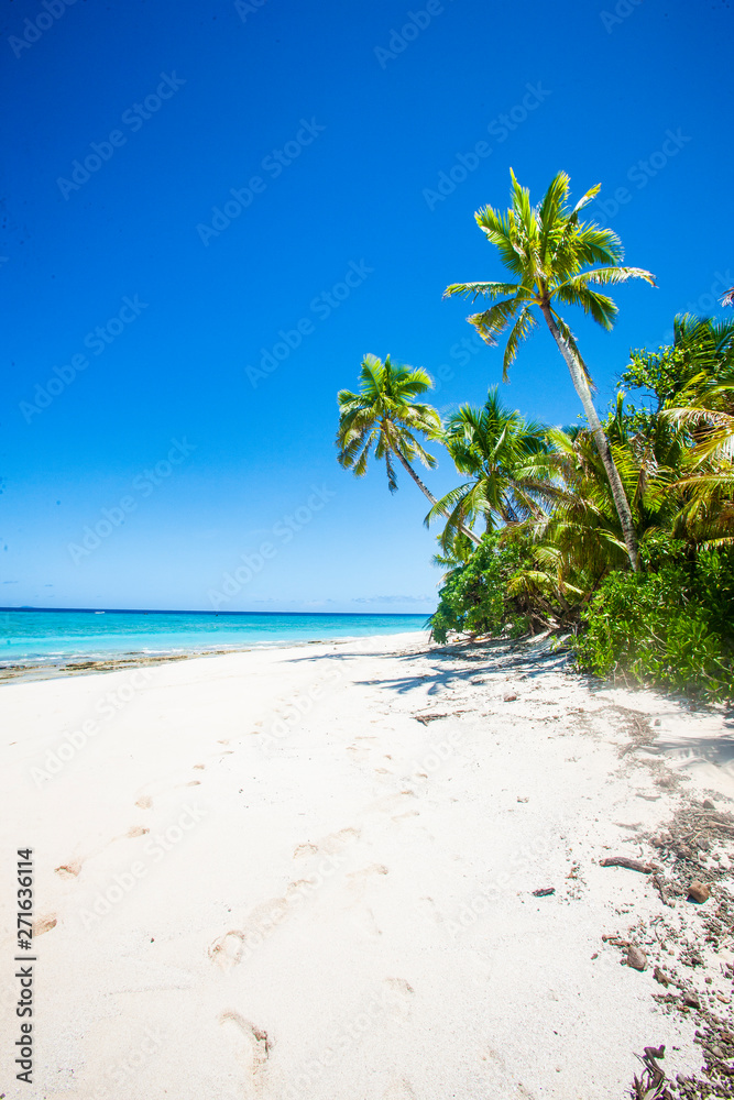 Tropical Island, Fiji Islands