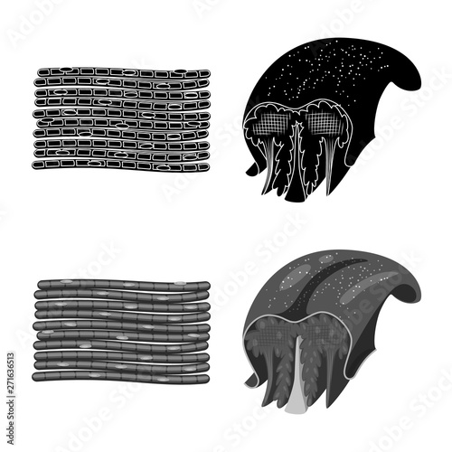 Vector design of fiber and muscular icon. Set of fiber and body  stock vector illustration.