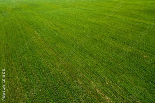 Aerial view of arable fields and plantation. Countryside. © Andy Shell