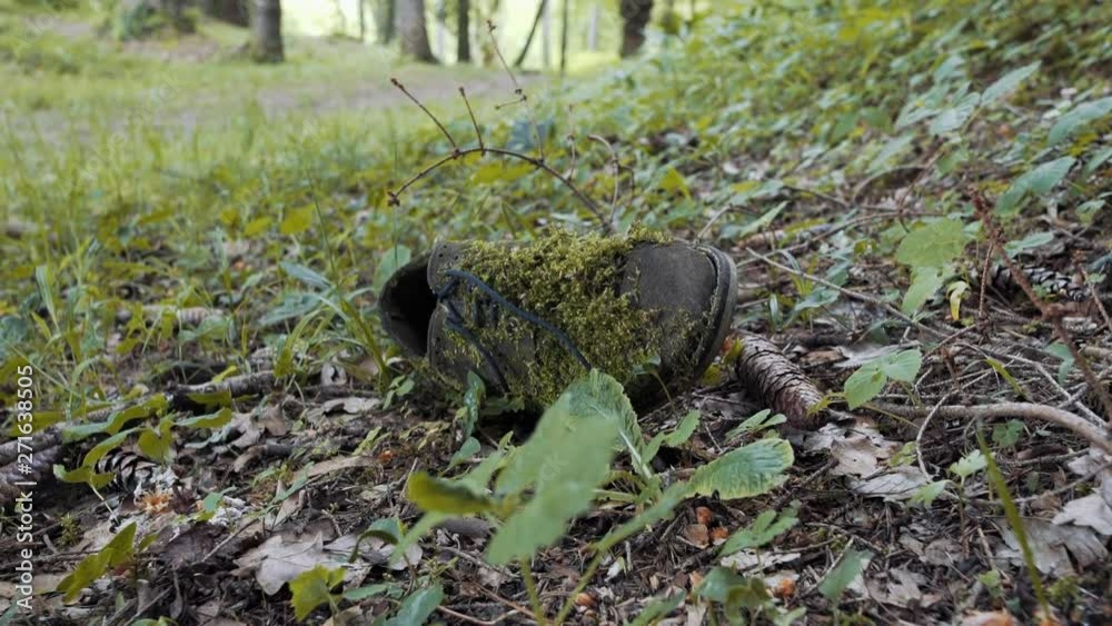 Leather shoe decomposing on the ground and polluting environment Leather shoe decomposing on the ground and polluting environment