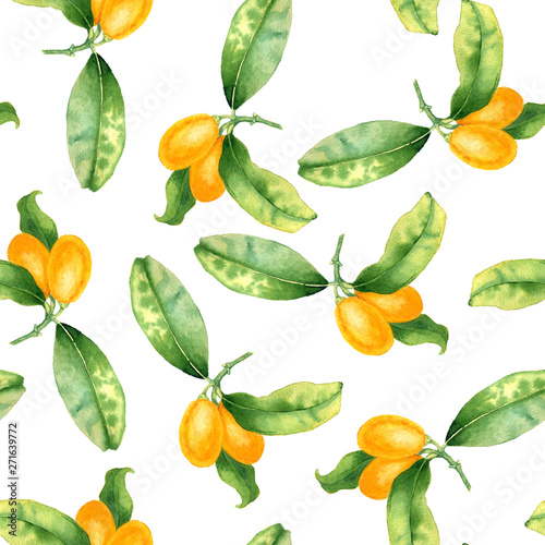 seamless pattern with kumquats drawing in watercolor