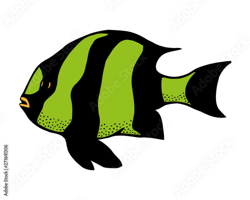 Coral reef tropical fish vector illustration. Vector sea fish isolated on white background. Aquarium fish icon.