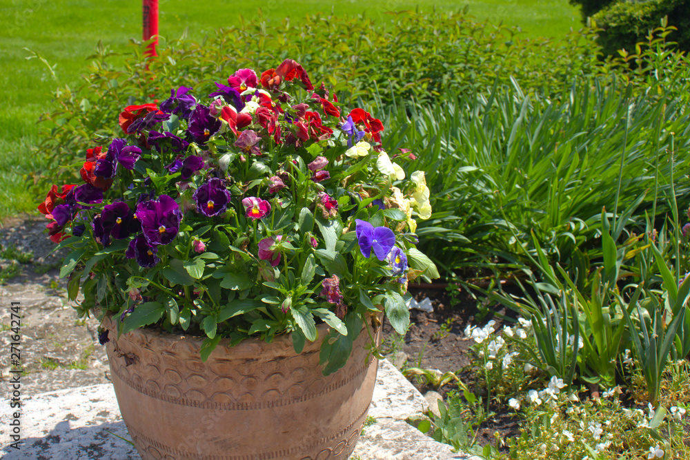 Garden in Wawel castle yard with beautiful flowers and castle in the background Garden in Wawel castle yard with beautiful flowers and castle in the background