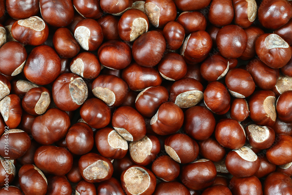 Detail of the chestnuts Detail of the chestnuts