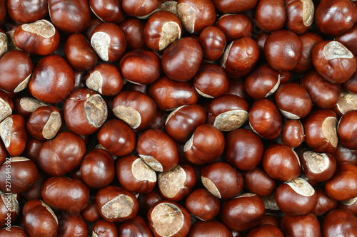 Detail of the chestnuts