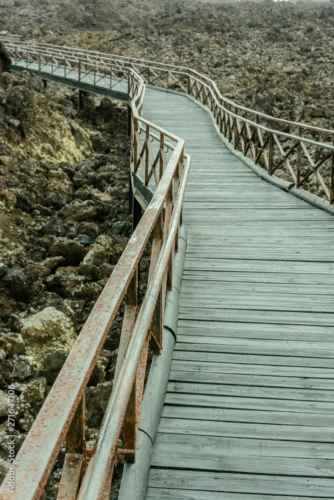 Fototapeta premium Caminos