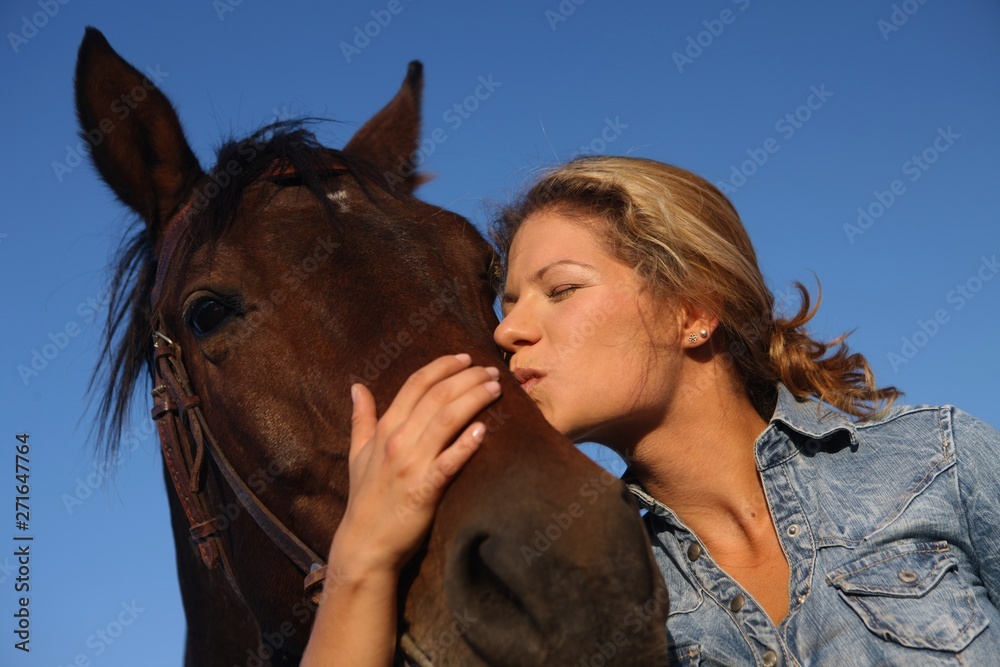 Fototapeta premium Horse kissing