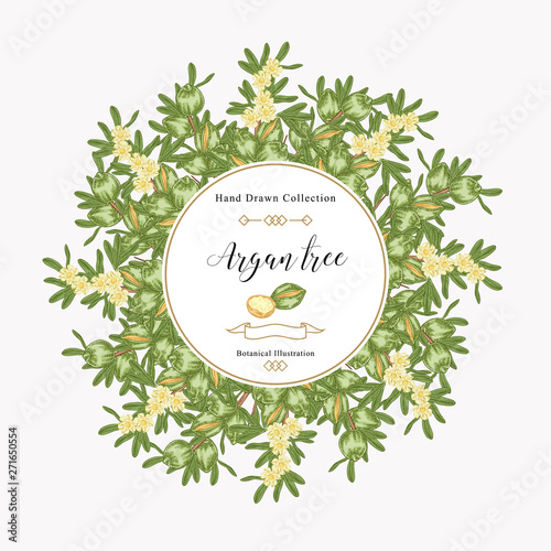 Argan tree, argania spinosa round frame. Colorful nuts, leaves and flowers. Medical and cosmetic plants. Vector illustration botanical.