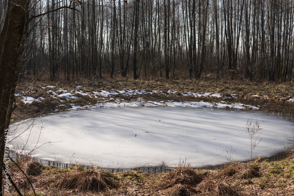 landscape with swamps landscape with swamps