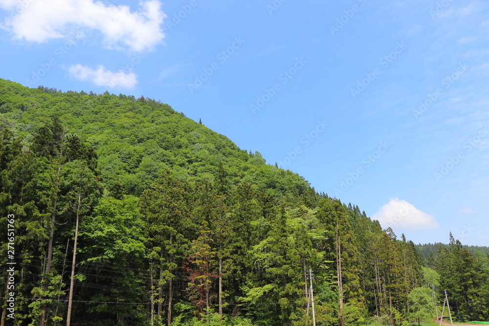 妙高山と森 妙高山と森