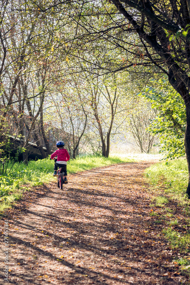 Young little boy riding a bicycle by a walk covered with autumn leaves
