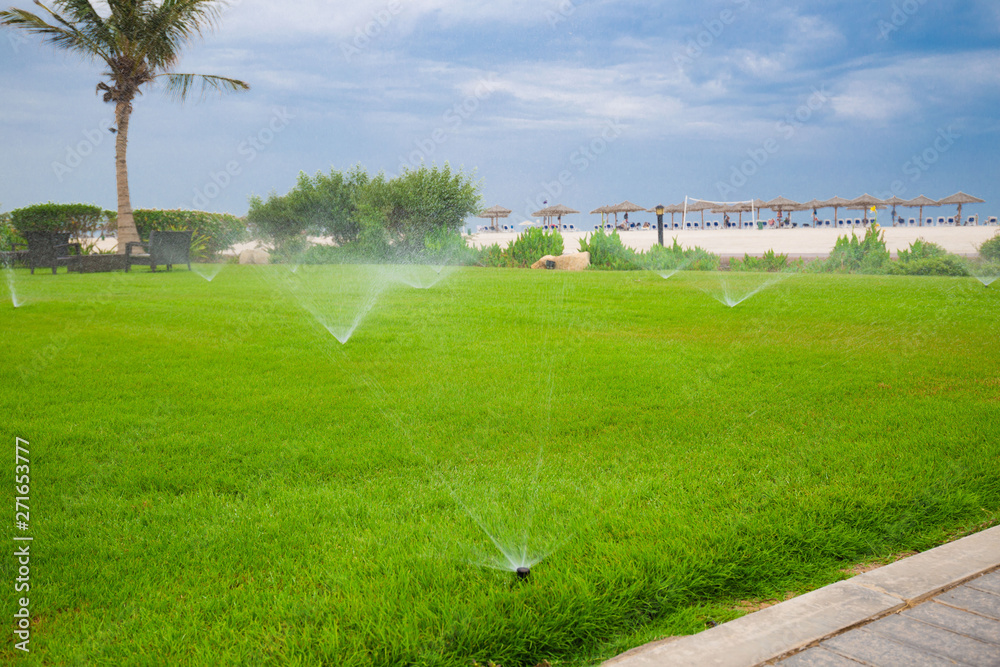 UAE. Watering  sprinkler  lawn