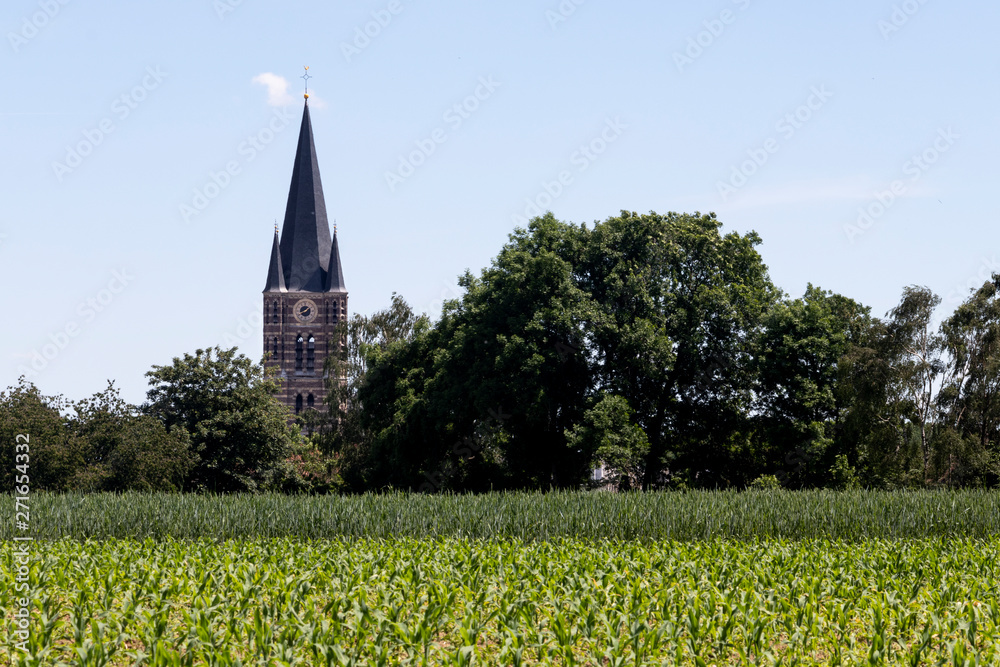 view from the fields at Thorn abbey church , one of the most beautiful villages in the Netherlands
