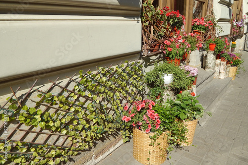 Fragment of a small street with a porch and flower pots