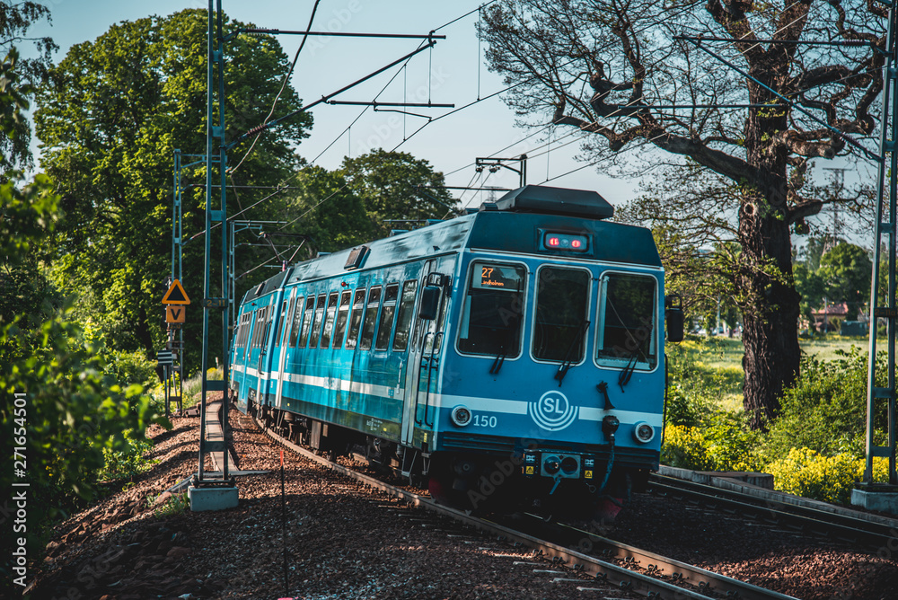 Naklejka premium Train on a curved railroad with forest surroundings in summer