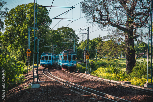 Trains on a curved railroad with forest surroundings in summer