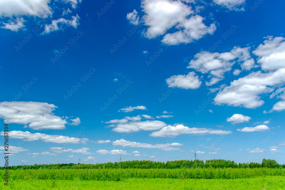 Beautiful summer landscape with green grass and blue sky with white clouds. Beautiful summer landscape with green grass and blue sky with white clouds.