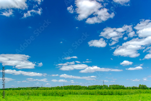 Beautiful summer landscape with green grass and blue sky with white clouds. © sergofan2015