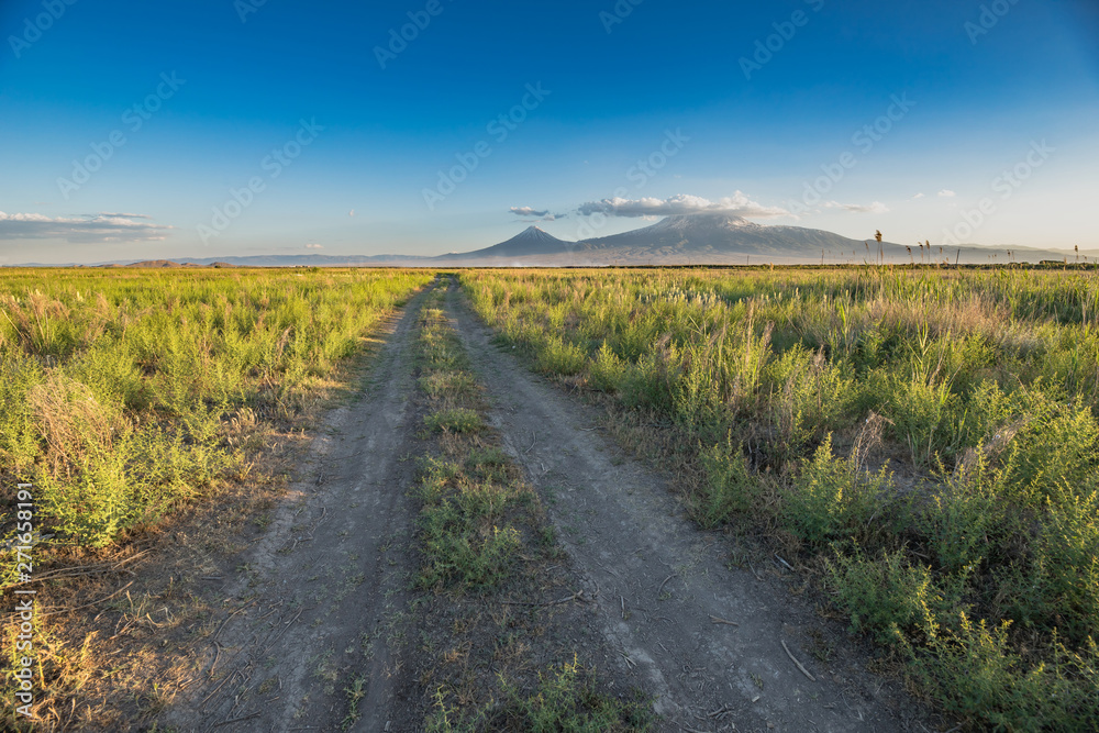 Fototapeta premium road with ararat mountain