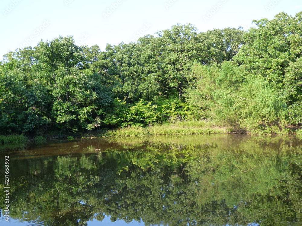 Fototapeta premium scenic pond