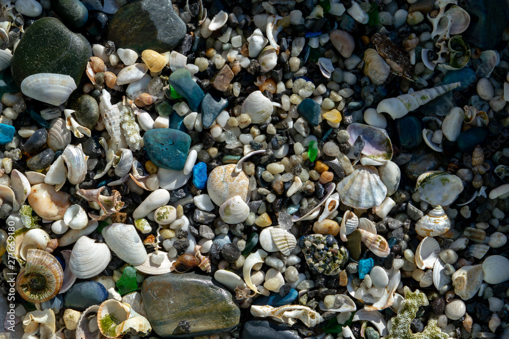Stones and seashells on the beach in summer, beautiful background and texture