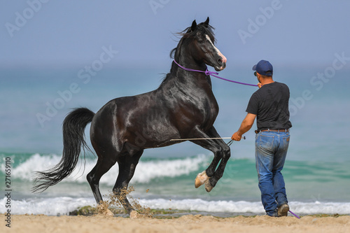 Man is training his horse on the sea beach