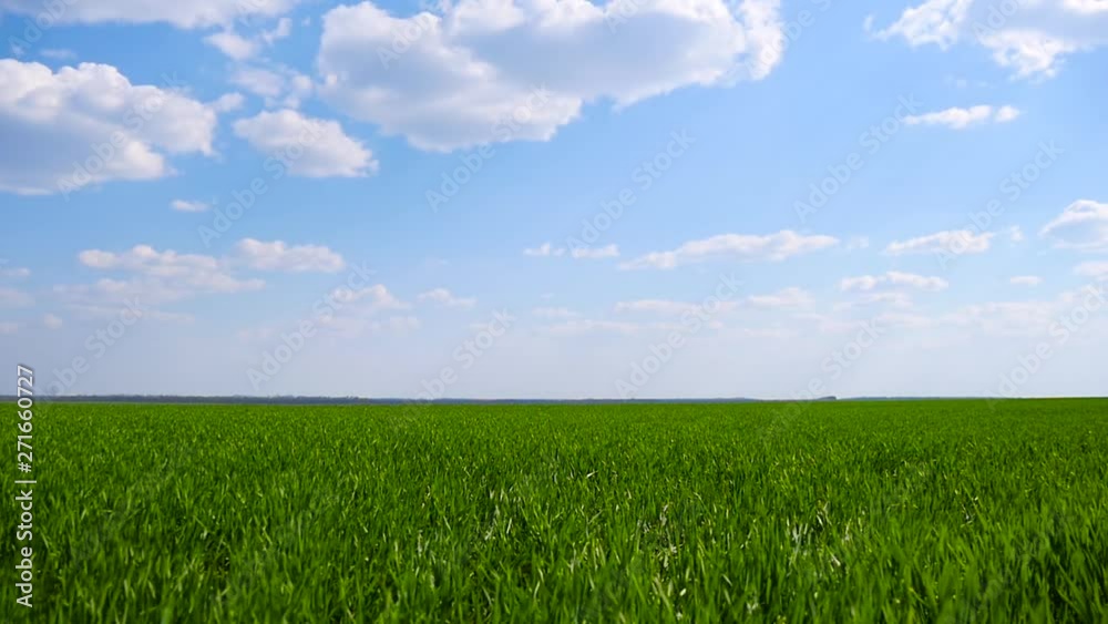A happy child in a superhero costume in a red cloak runs across the green field from left to right, hurries to the rescue