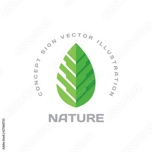 Nature vector logo design in flat style. Green leaf creative sign. Organic product symbol. 