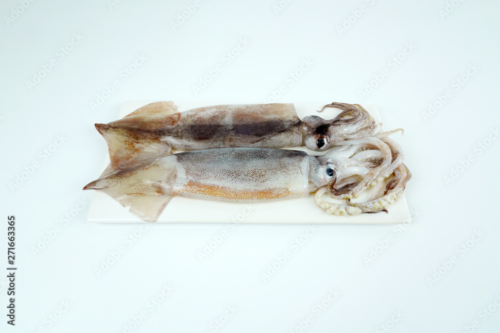 Fresh squid, Delicious squid isolated on color background Fresh squid, Delicious squid isolated on color background