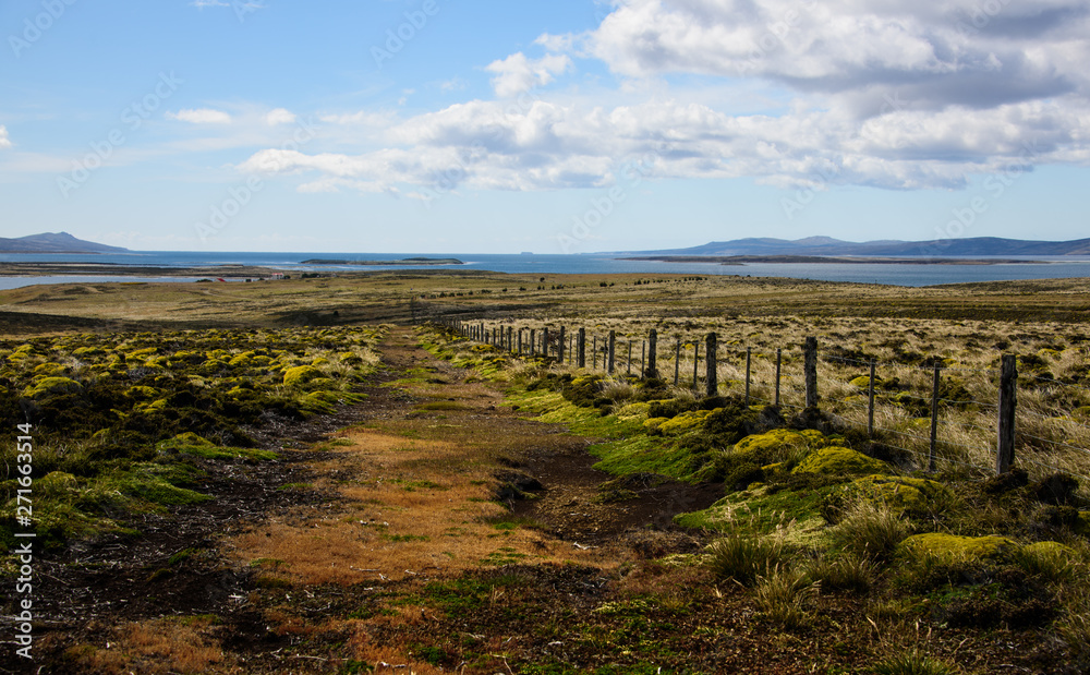 Landscape in Falkland Island