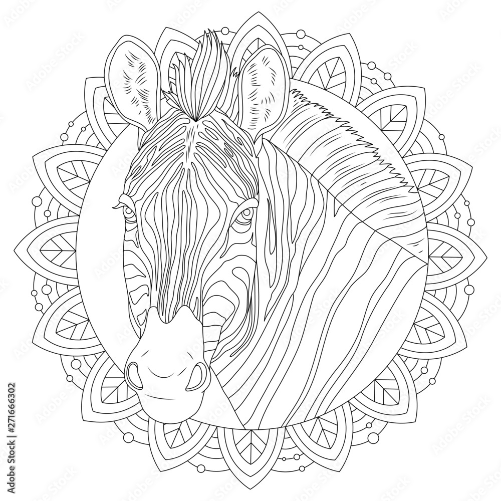Animal mandala. Zebra in mandala coloring page. Zebra coloring book ...