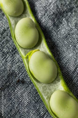 Raw Green Organic Fava Beans photo