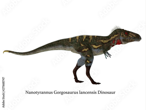 Nanotyrannus Dinosaur Side Profile with Font - Nanotyrannus was a carnivorous theropod dinosaur that lived in North America during the Cretaceous Period.