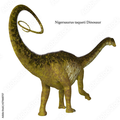 Nigersaurus Dinosaur Tail with Font - Nigersaurus was a herbivorous sauropod dinosaur that lived in Niger  Africa during the Cretaceous Period.