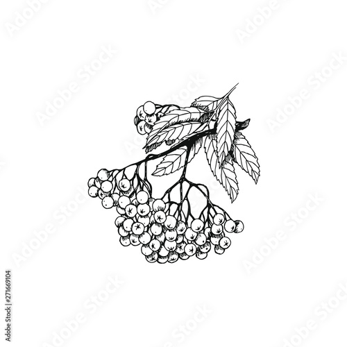 Rowan