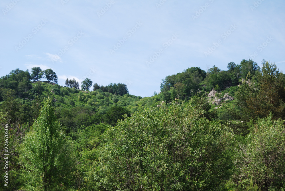 Balkan Sredna Gora, around the town of Koprivshtitsa - Bulgaria.