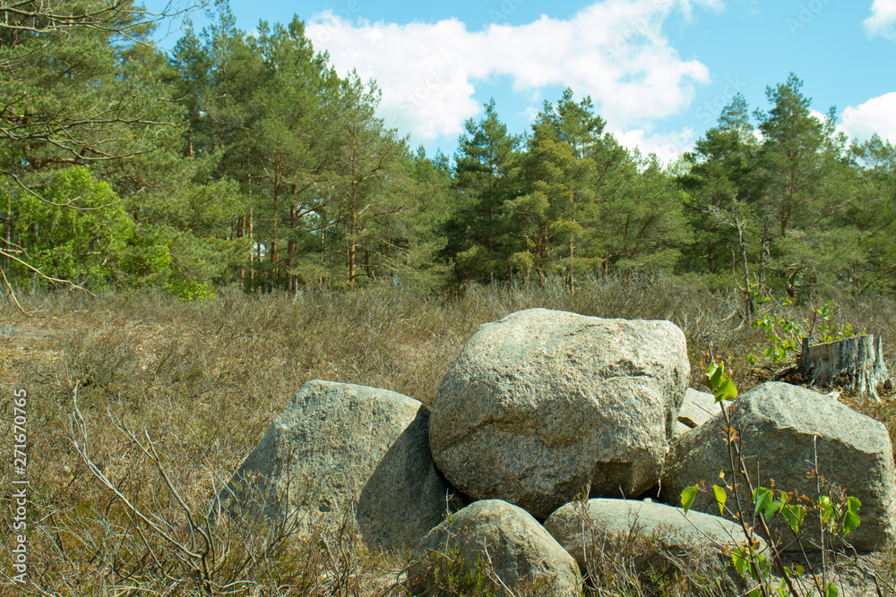 Landschaft Lüneburger Heide