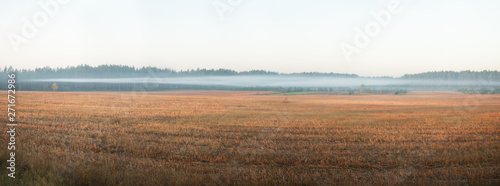 fog over the autumn field photo