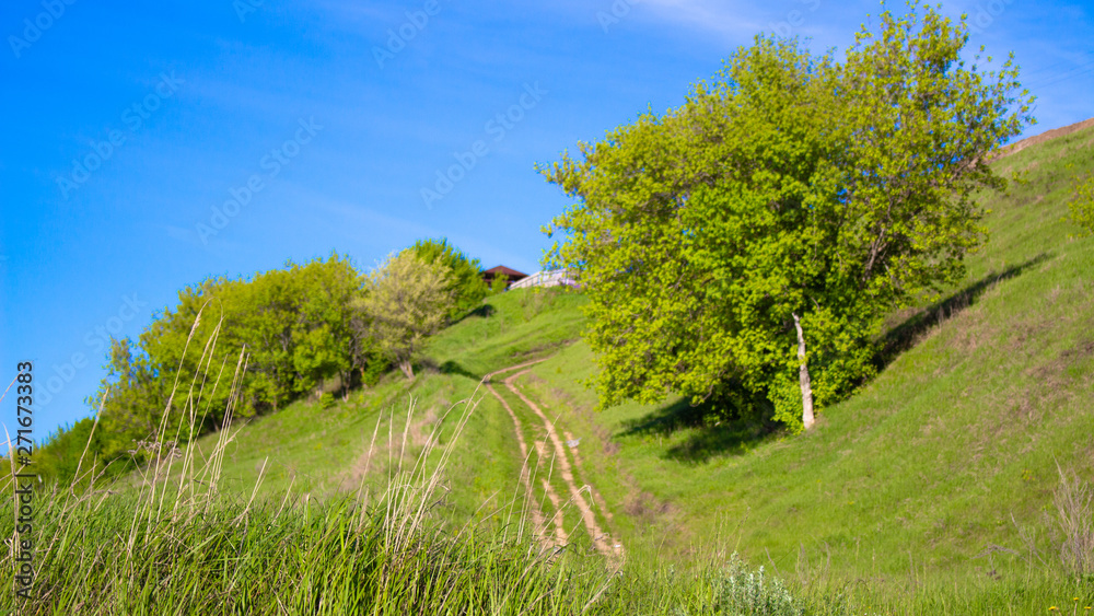 beautiful green hill and clear, blue sky