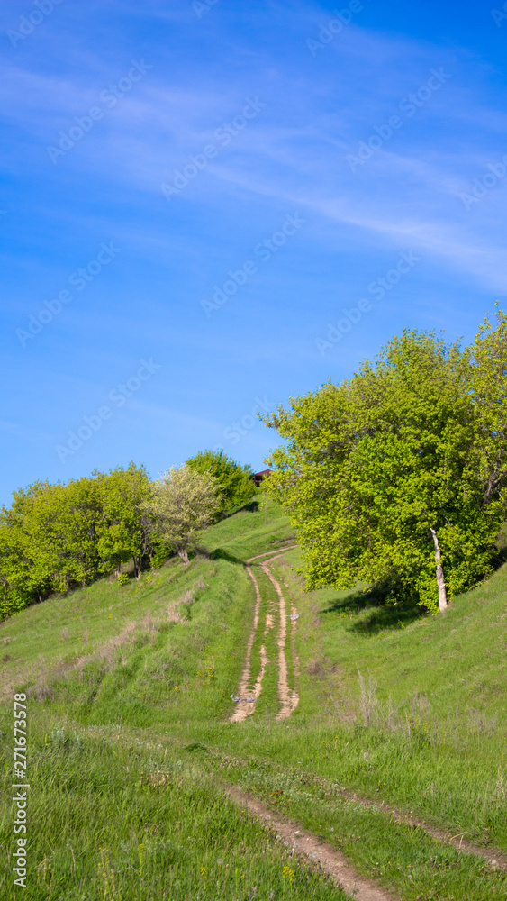 Fototapeta premium beautiful green hill and clear, blue sky. Path to the top of the hill