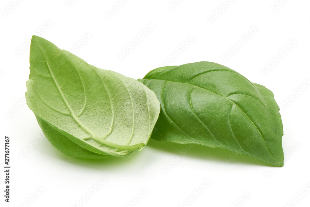 Obraz premium Sweet basil herb leaves, close-up, isolated on white background. Fresh Genovese basil