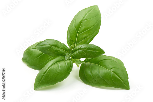 Tableau sur toile Fresh organic basil leaves, close-up, isolated on white background