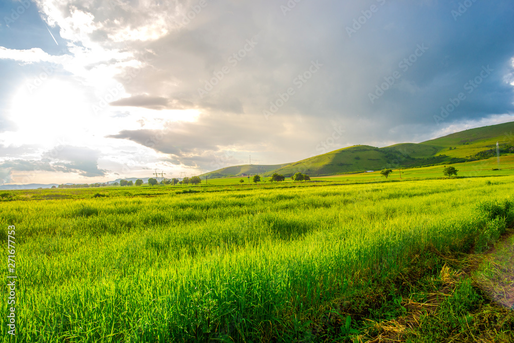 Landscape at the springtime