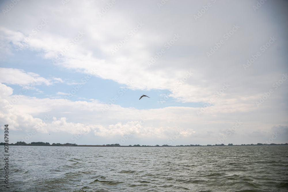 The Danube Delta , Romania