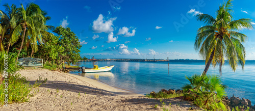 Fototapeta Naklejka Na Ścianę i Meble -  Tropical beach in caribbean sea. Yucatan, Mexico.