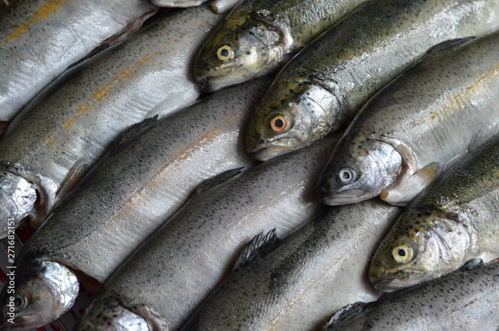 Top view of whole raw trout fish